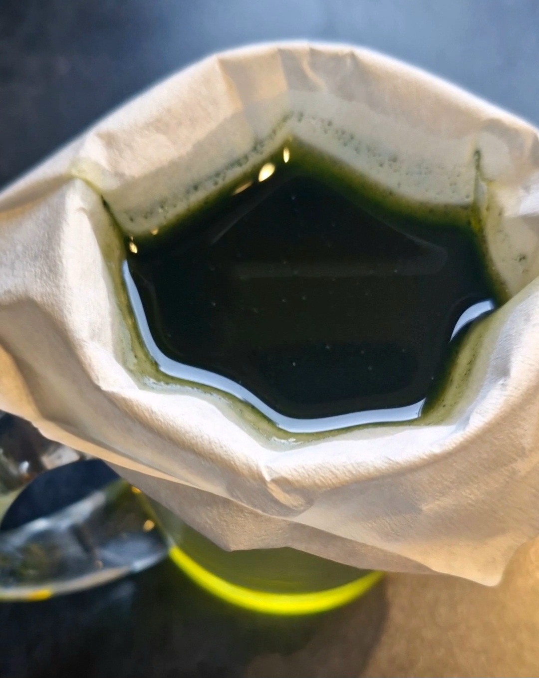 Spirulina Infusion for Spearmint Tallow Lip Balm - handcrafted in Taranaki, New Zealand by Fatglow